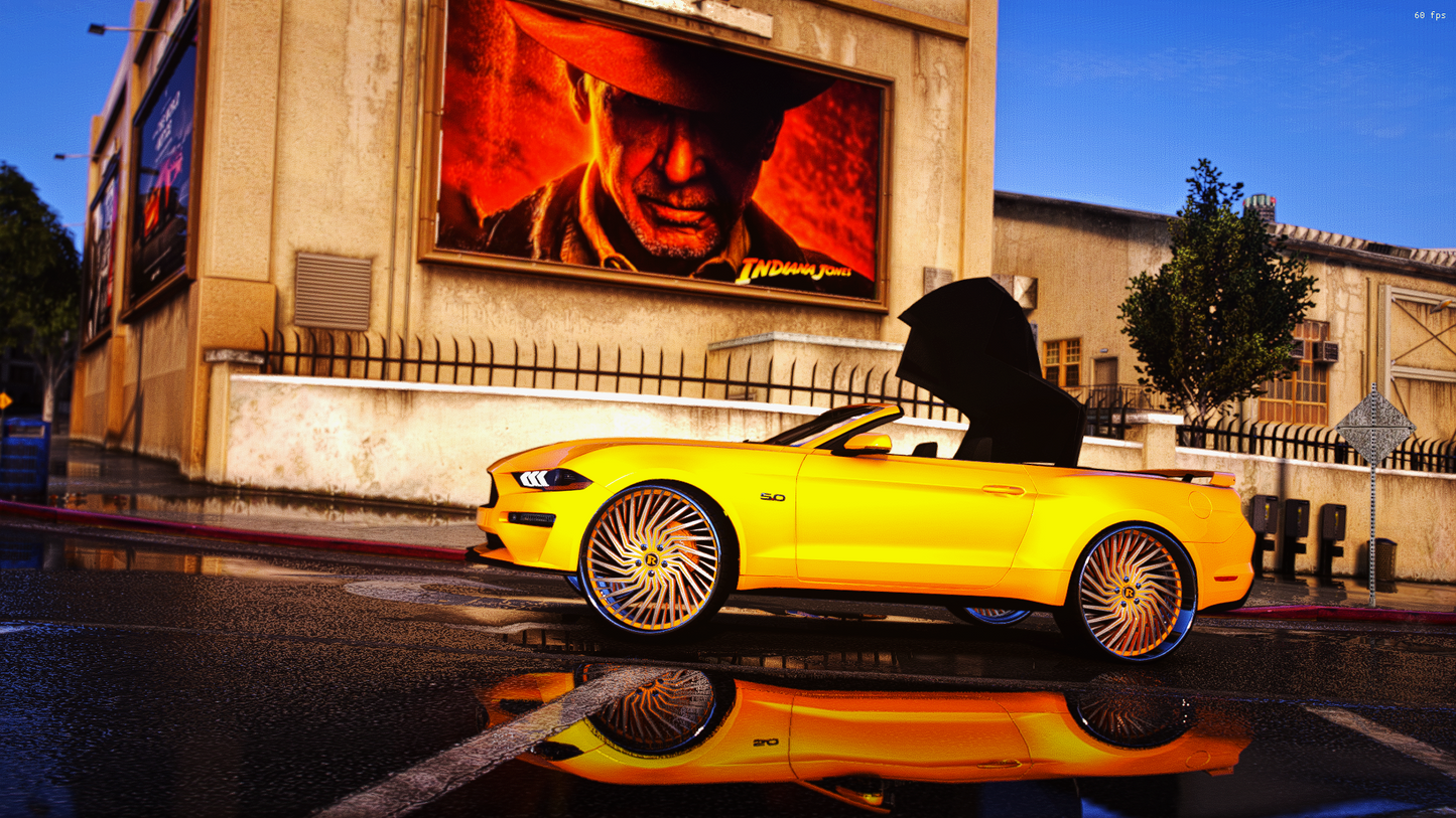 2019 mustang