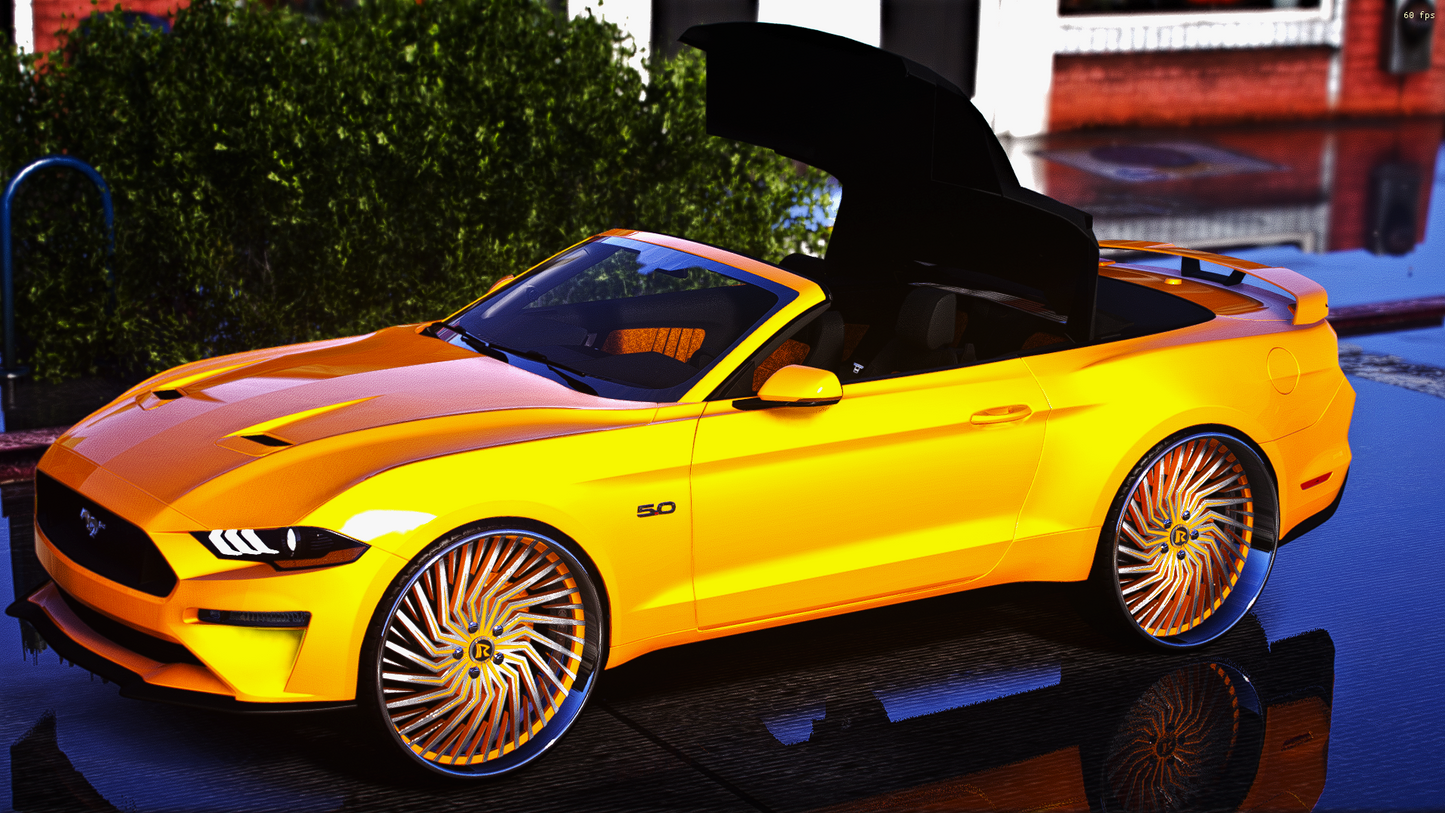 2019 mustang