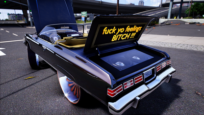 75 Caprice Vert